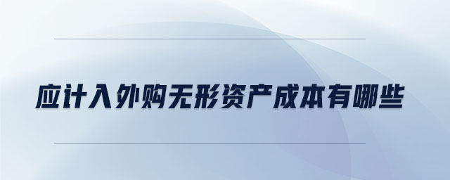應(yīng)計(jì)入外購(gòu)無(wú)形資產(chǎn)成本有哪些