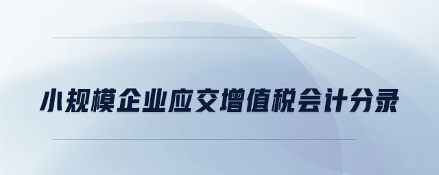 小規(guī)模企業(yè)應(yīng)交增值稅會計分錄