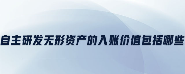 自主研發(fā)無形資產(chǎn)的入賬價(jià)值包括哪些