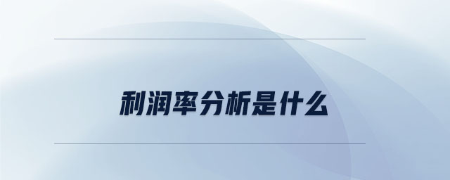利潤率分析是什么