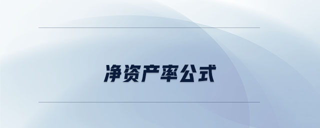 凈資產率公式