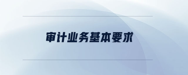 審計(jì)業(yè)務(wù)基本要求