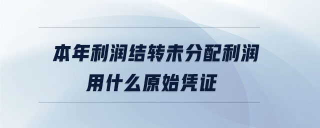 本年利潤(rùn)結(jié)轉(zhuǎn)未分配利潤(rùn)用什么原始憑證