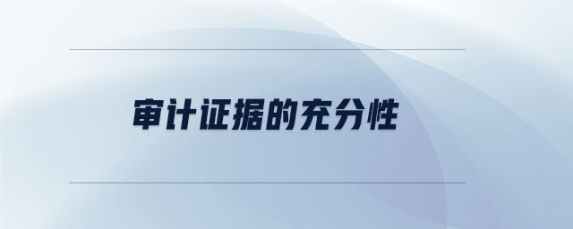審計(jì)證據(jù)的充分性