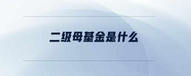 二級母基金是什么