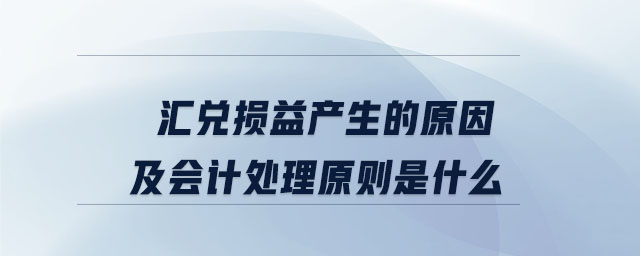 匯兌損益產(chǎn)生的原因及會計處理原則是什么