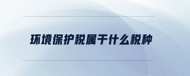 環(huán)境保護(hù)稅屬于什么稅種