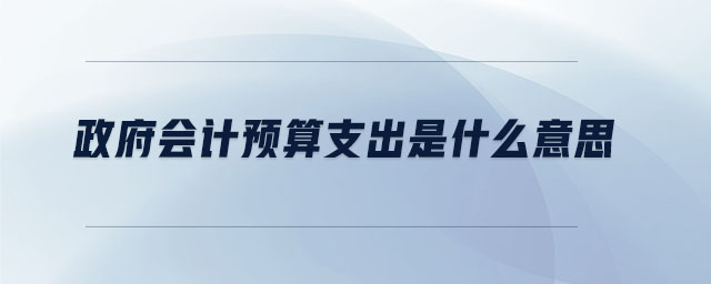 政府會(huì)計(jì)預(yù)算支出是什么意思