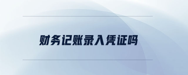 財(cái)務(wù)記賬錄入憑證嗎