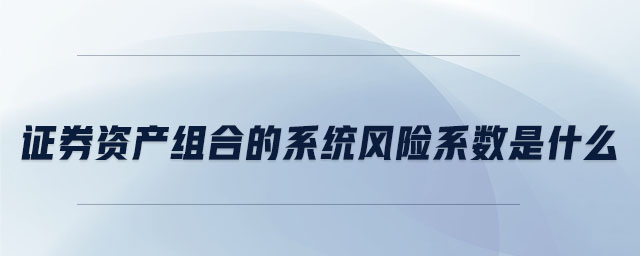 證券資產(chǎn)組合的系統(tǒng)風(fēng)險系數(shù)是什么
