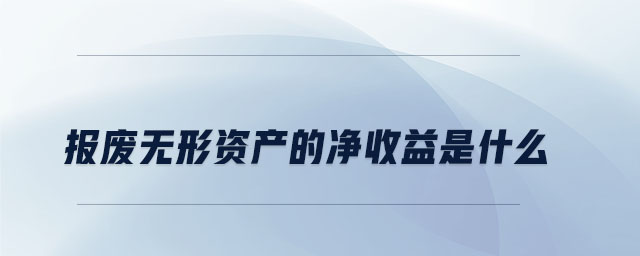 報(bào)廢無形資產(chǎn)的凈收益是什么