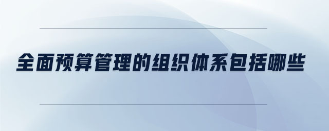 全面預算管理的組織體系包括哪些