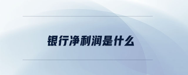 銀行凈利潤(rùn)是什么