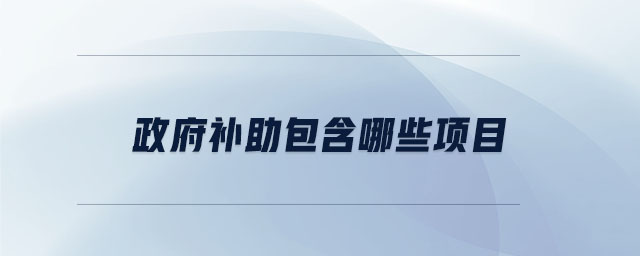 政府補(bǔ)助包含哪些項(xiàng)目