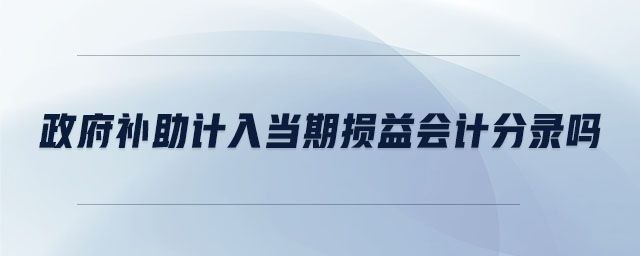 政府補(bǔ)助計(jì)入當(dāng)期損益會(huì)計(jì)分錄嗎