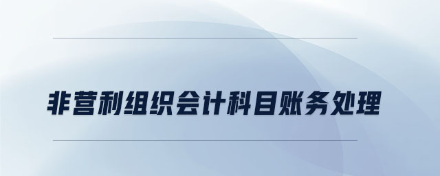 非營利組織會計科目賬務處理