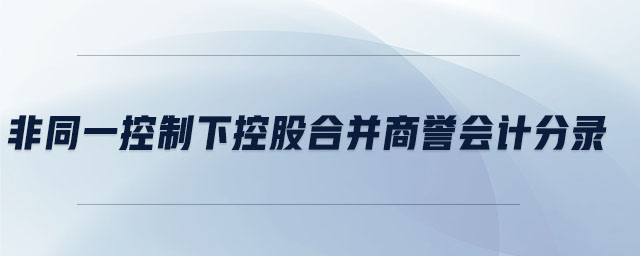 非同一控制下控股合并商譽會計分錄