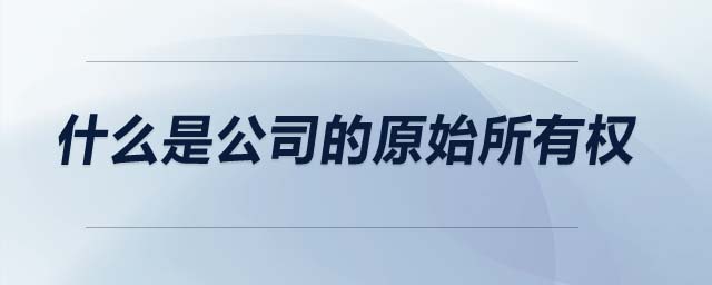 什么是公司的原始所有權