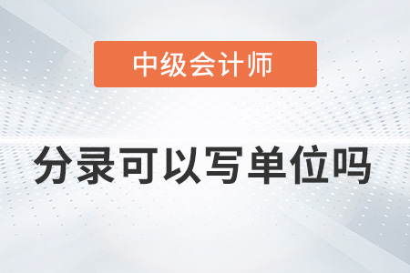 2022年中級(jí)會(huì)計(jì)實(shí)務(wù)分錄后面可以寫單位嗎？