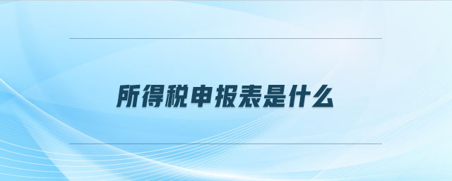 所得稅申報(bào)表是什么