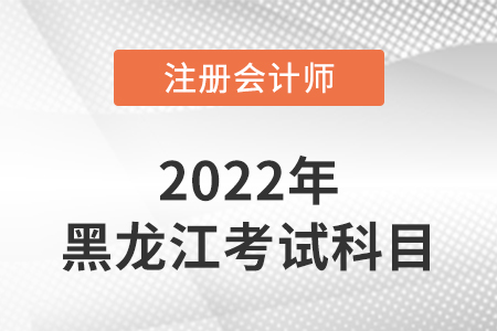 2022年黑龍江省大興安嶺注冊會計(jì)師延考考試科目