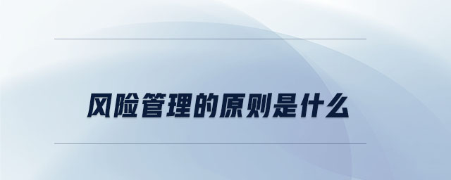 風(fēng)險管理的原則是什么