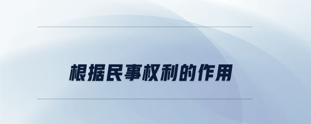 根據(jù)民事權(quán)利的作用
