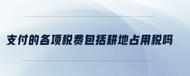 支付的各項稅費包括耕地占用稅嗎