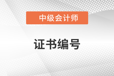 中級會計證書編號查詢流程有哪些步驟？
