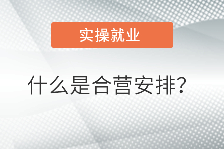 什么是合營安排？