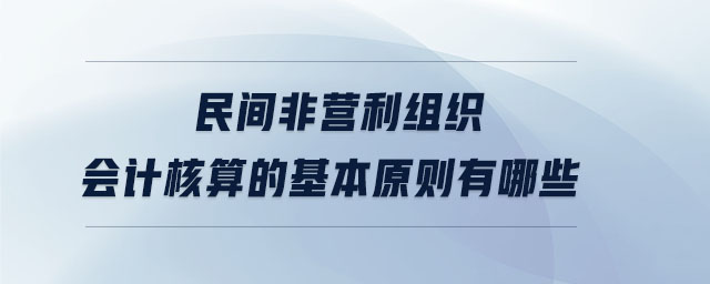 民間非營利組織會計核算的基本原則有哪些