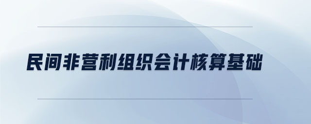 民間非營利組織會計核算基礎(chǔ)