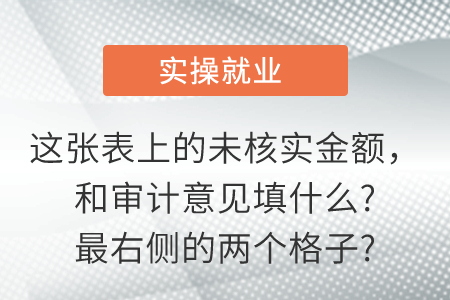 這張表上的未核實(shí)金額，和審計(jì)意見(jiàn)填什么?最右側(cè)的兩個(gè)格子?