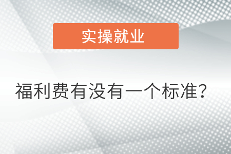 福利費(fèi)有沒(méi)有一個(gè)標(biāo)準(zhǔn)？