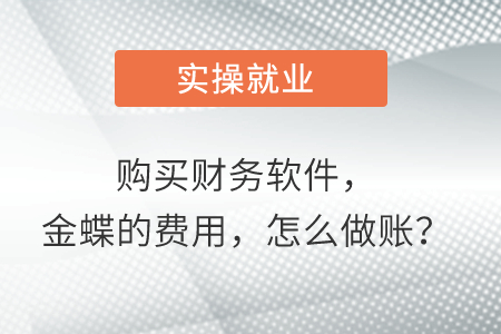 購買財務軟件，金蝶的費用，怎么做賬？
