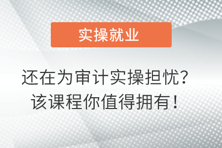 還在為審計(jì)實(shí)操擔(dān)憂？該課程你值得擁有！