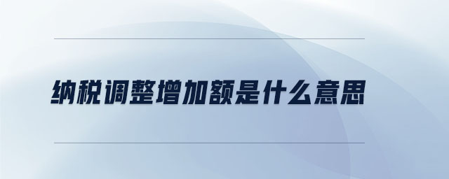 納稅調整增加額是什么意思