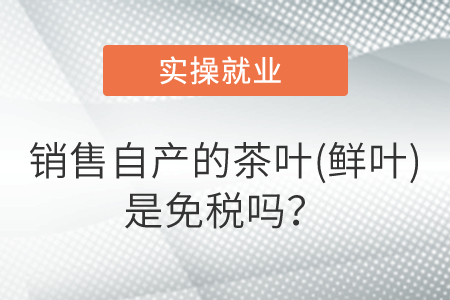 銷(xiāo)售自產(chǎn)的茶葉(鮮葉)是免稅嗎？