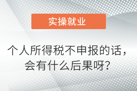 個(gè)人所得稅不申報(bào)的話(huà)，會(huì)有什么后果呀？
