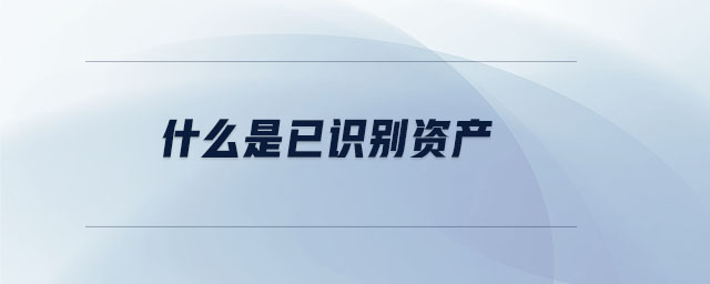 什么是已識別資產(chǎn)