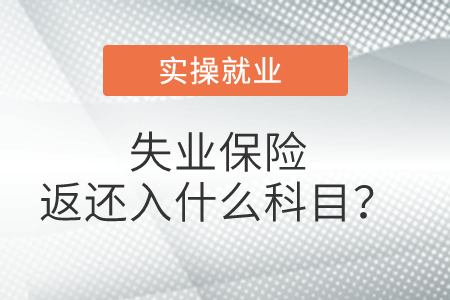 失業(yè)保險(xiǎn)返還入什么科目？