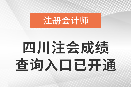 2022年四川省遂寧注冊(cè)會(huì)計(jì)師成績(jī)查詢?nèi)肟谝验_(kāi)通！快來(lái)查分！