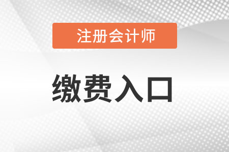 天津市注冊會計師繳費入口是什么？