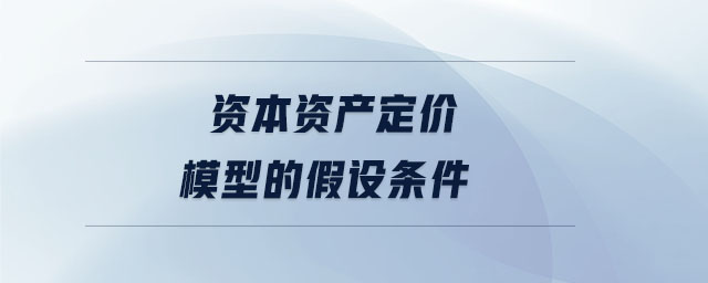 資本資產(chǎn)定價模型的假設條件