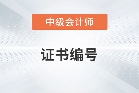 中級(jí)會(huì)計(jì)師證書(shū)號(hào)是哪一個(gè)你了解嗎？