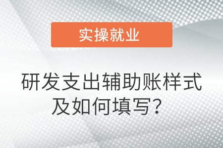 研發(fā)支出輔助賬樣式及如何填寫(xiě)？