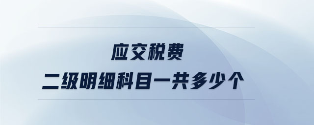 應交稅費二級明細科目一共多少個
