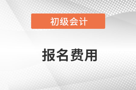 2023年初級會計考試報名費發(fā)票怎么開？