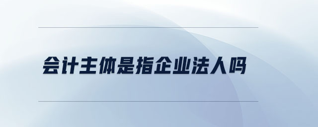 會(huì)計(jì)主體是指企業(yè)法人嗎