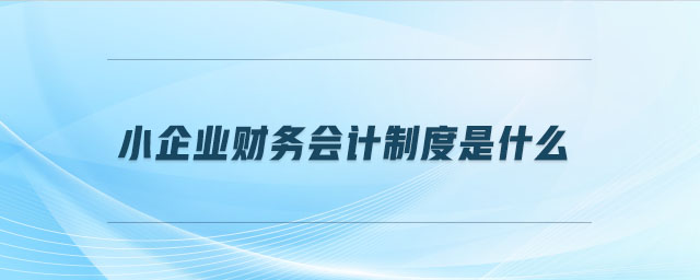 小企業(yè)財(cái)務(wù)會(huì)計(jì)制度是什么